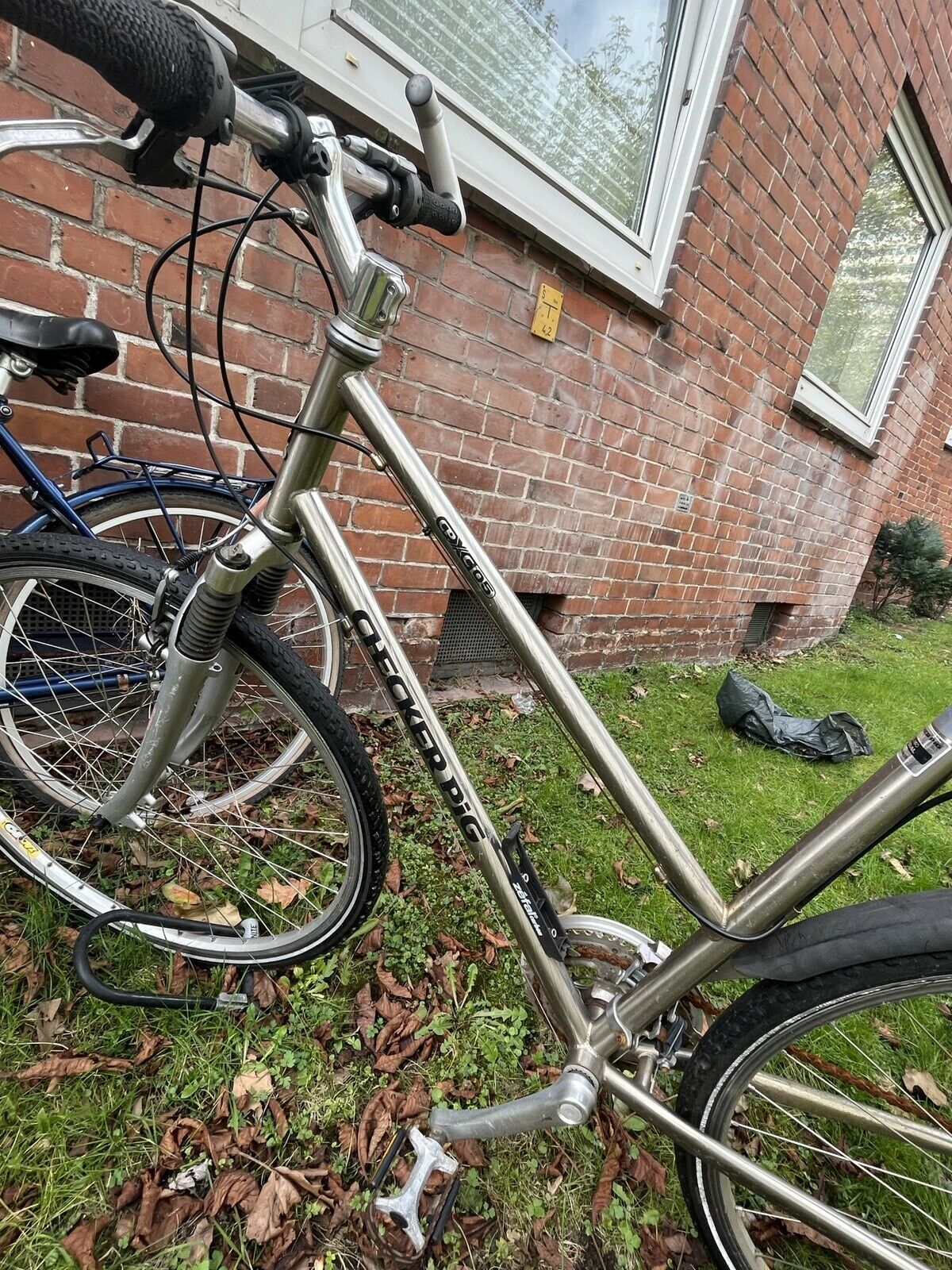 Checker Pig CPX 05 Lady.JPG