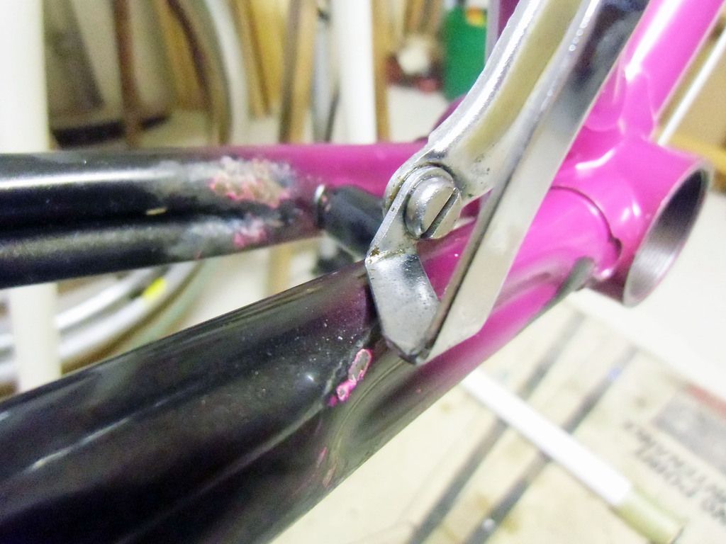 cimg1335ivpas.jpg cimg1335ivpas.jpg