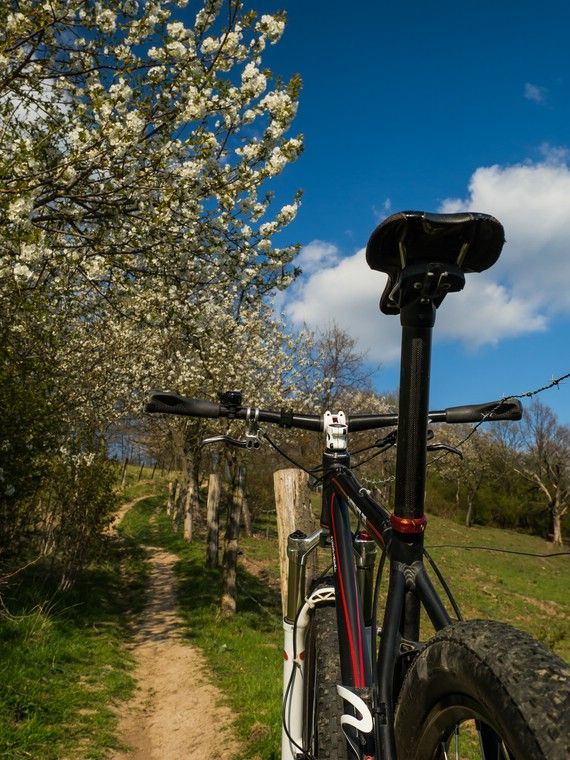 comp_Söhre Weg Bike.jpg