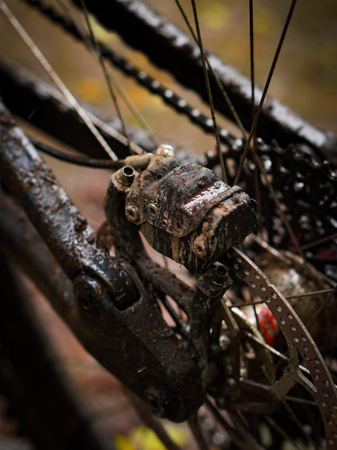 Cranked out some custom Maven caliper covers last week - just in time for the wet rides.🙌What I.jpg