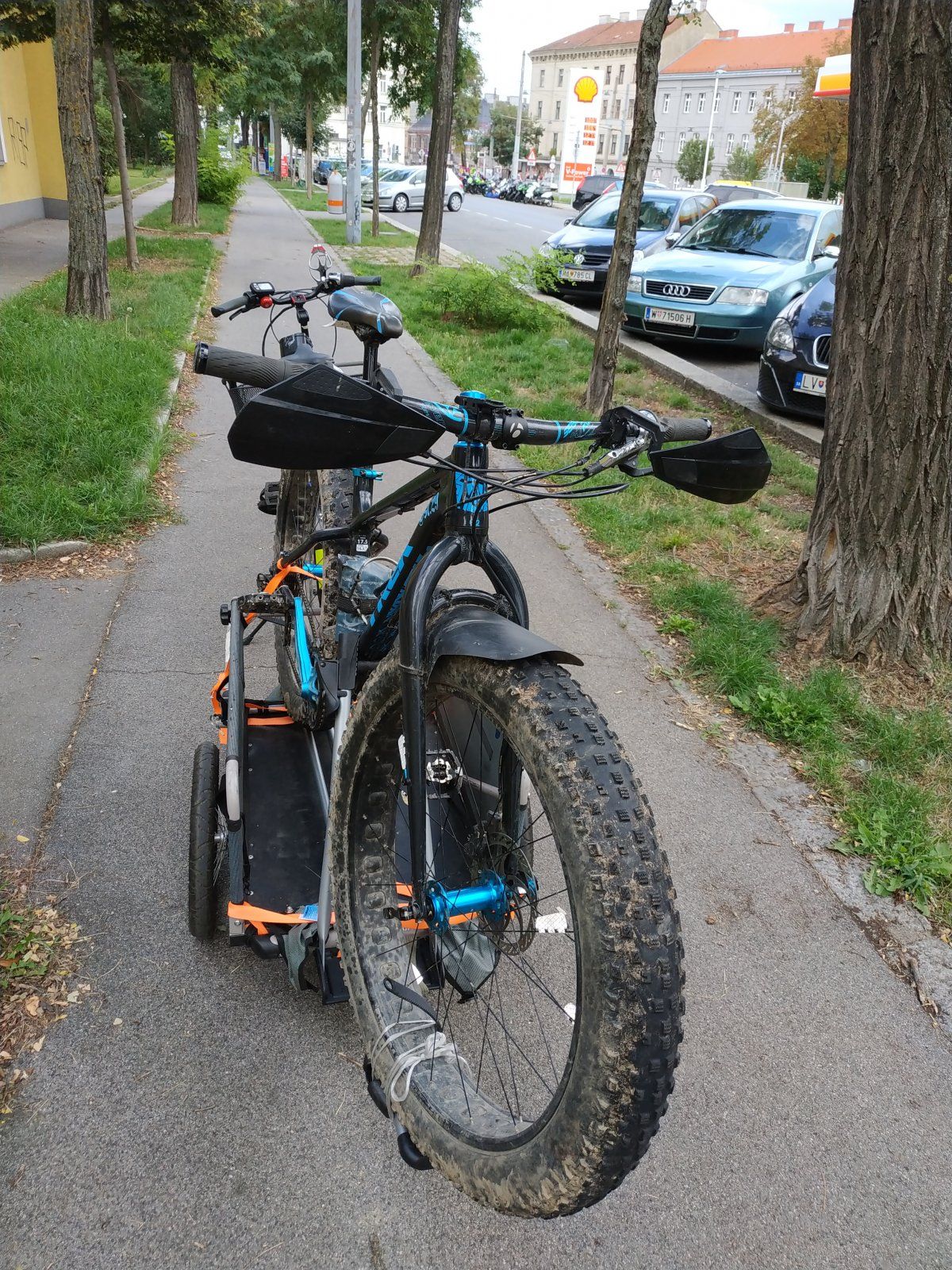 Croozer Cargo&Thule FreeRide 532+Trek Farley 6&Vsf Fahrradmanufactur T-400 (3).jpg