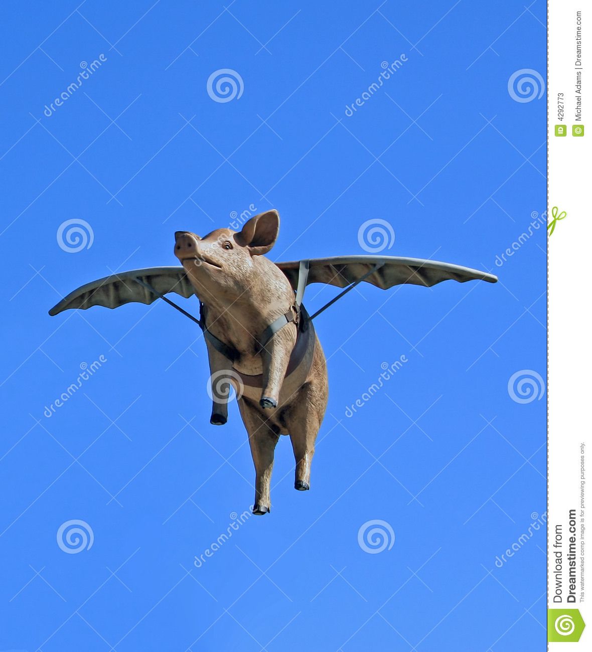 D0392F2D-B9D3-4A2F-983C-4DDDF7F04D5A.jpeg