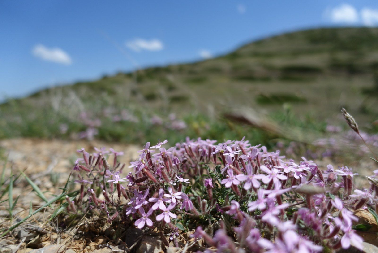D16DBB86-C293-45B3-ACD1-AC91EC162AEE.jpeg