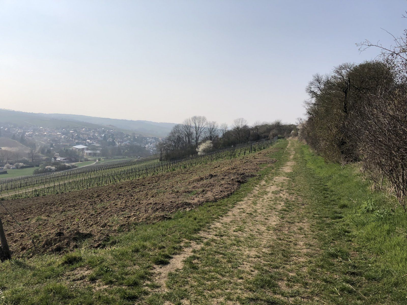 D438C375-EECA-42A7-B02D-06BE1962552F.jpeg