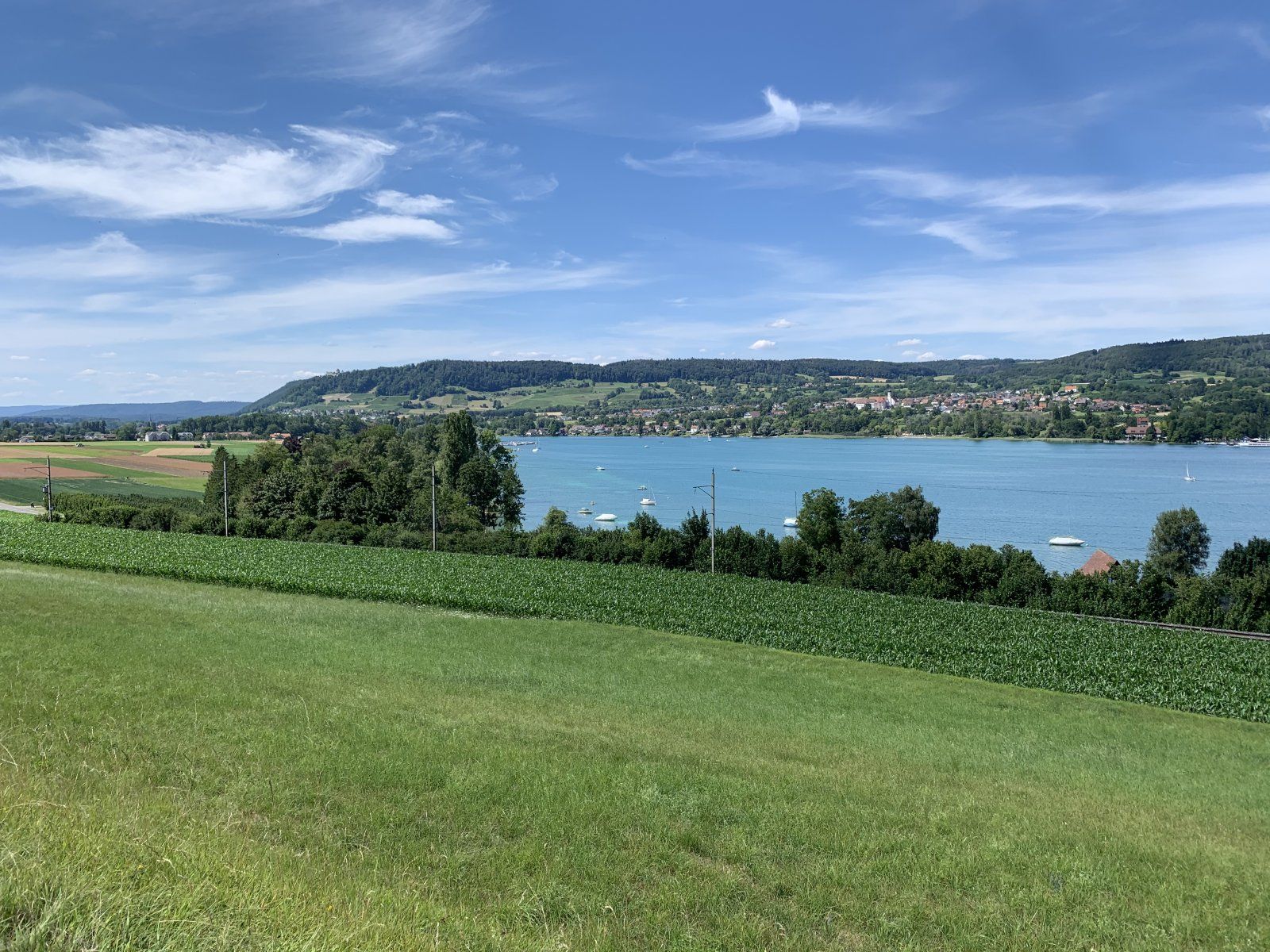 D4D60849-AB31-4D75-9883-8E0AAC8DD76E.jpeg