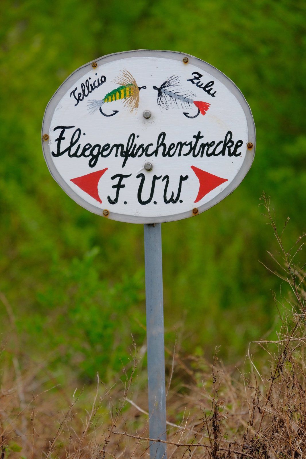 D9BFAC9F-BE39-402F-9206-D731D17E437A.jpeg