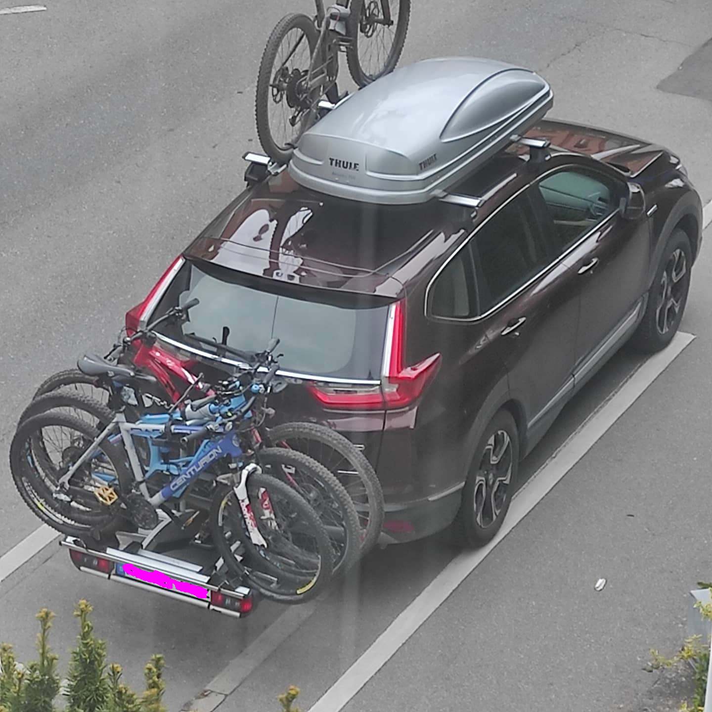 Dachbox.jpg