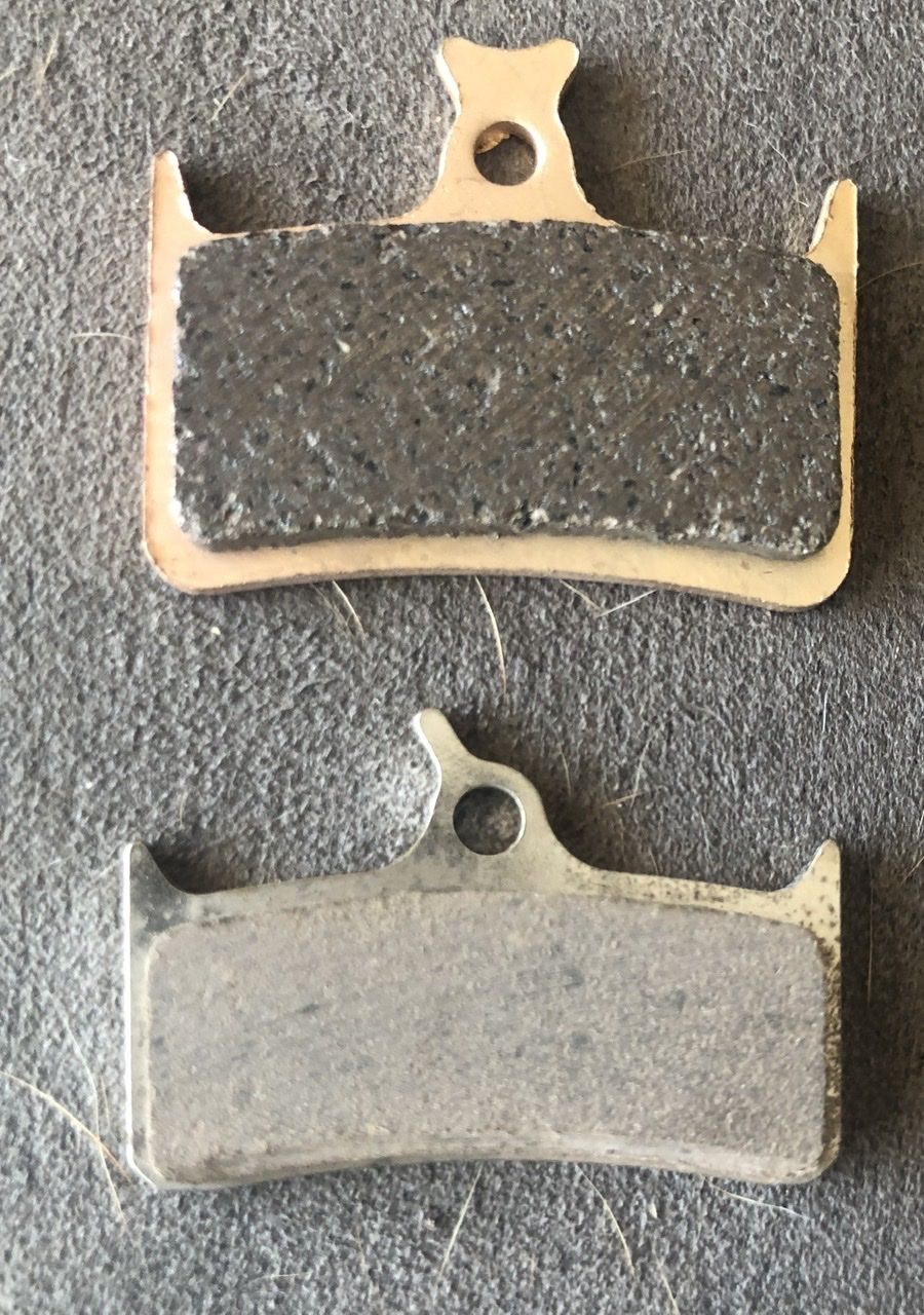 DAF82D78-9ADB-4B21-95A7-D20DE5E68143.jpeg DAF82D78-9ADB-4B21-95A7-D20DE5E68143.jpeg