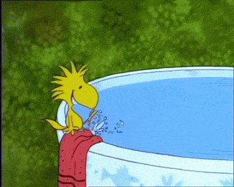 dd594d00ad2495e75370595394513f9f.gif