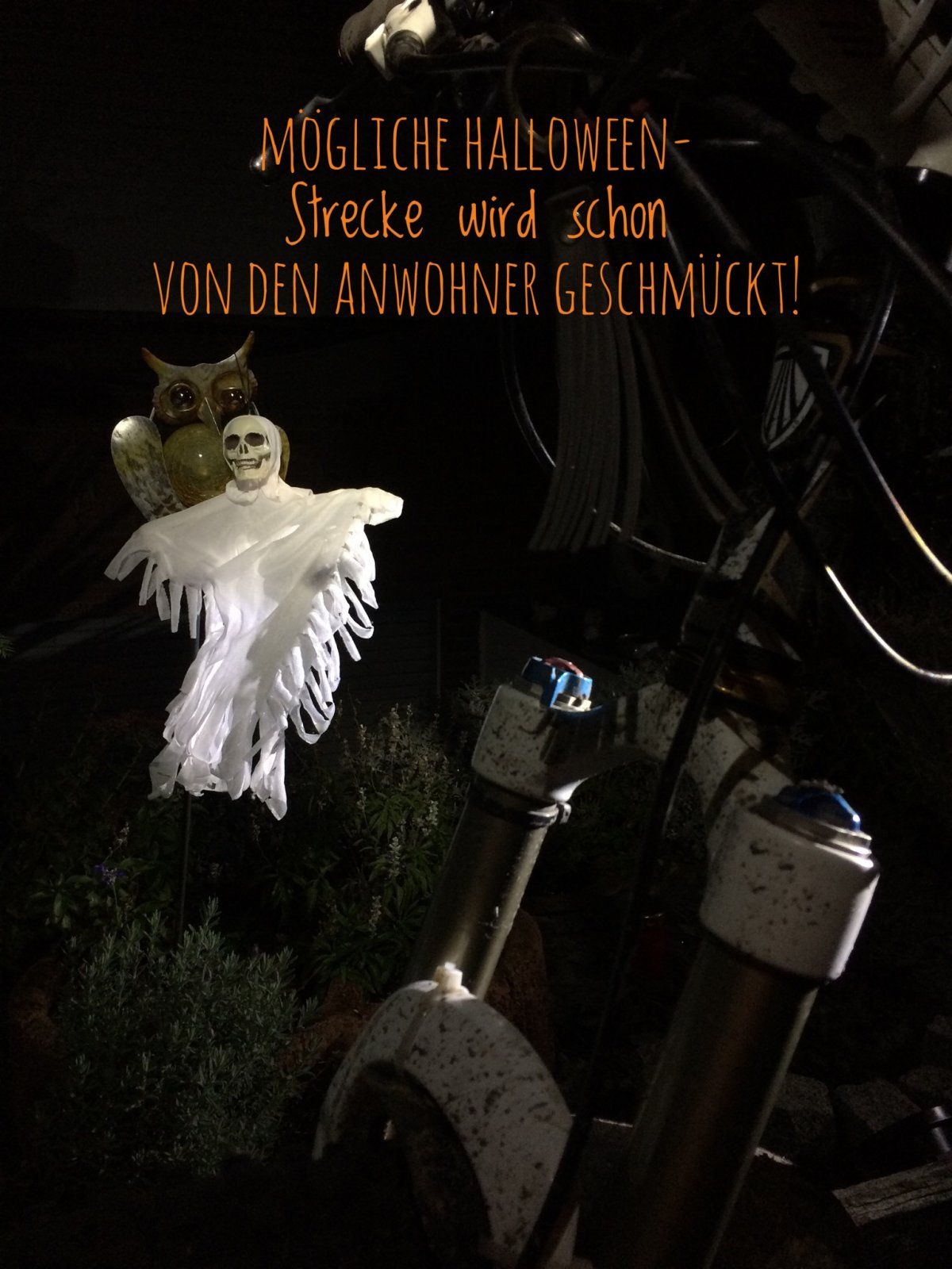 DE3EBCD0-3244-4E0D-9B80-BD50712E2C66.jpeg