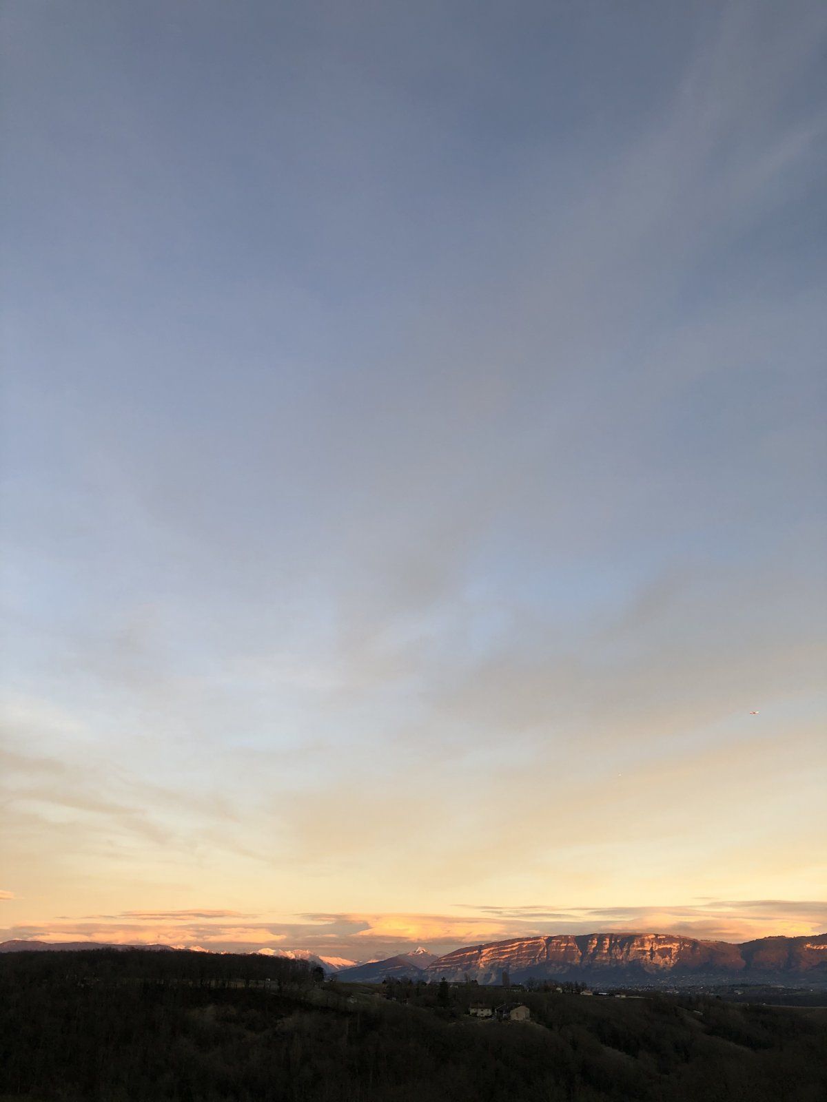 DF1174AA-D970-4085-9F41-78E283D616C2.jpeg
