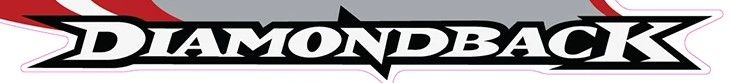 Diamond Back main logo font 1998-99b.jpg