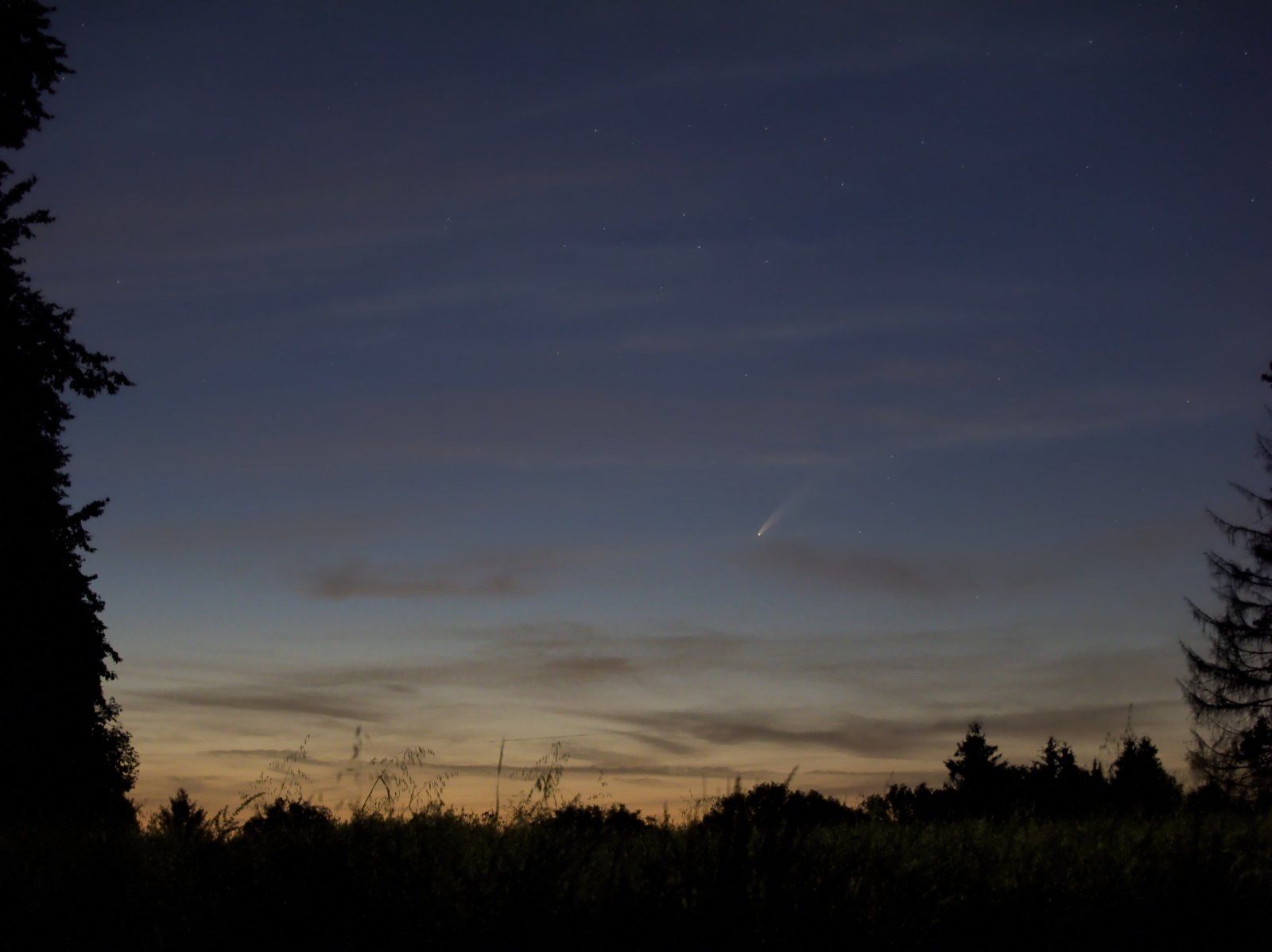 dP7126731.jpg