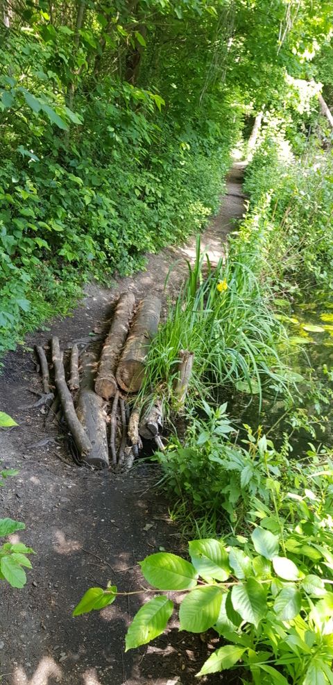 Drübber odder See (FILEminimizer).jpg