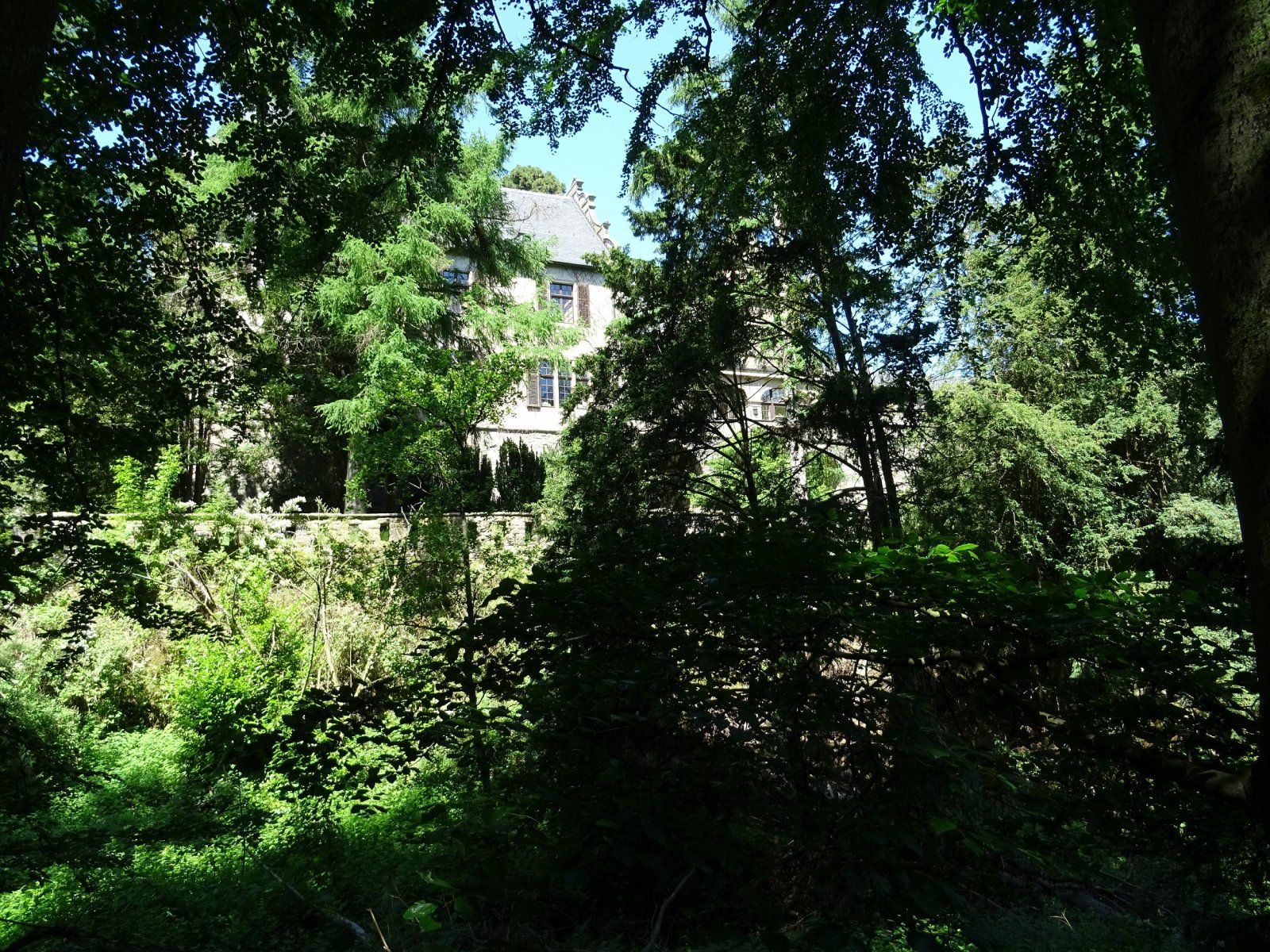 DSC00028.JPG