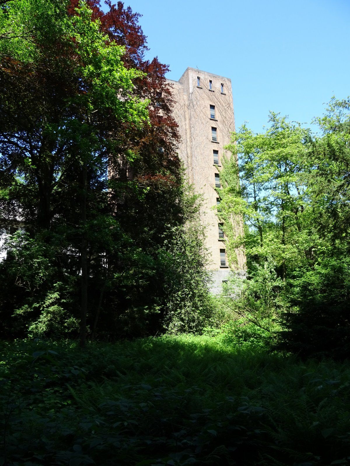 DSC00030.JPG