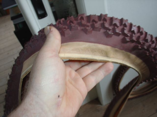 DSC00117.JPG
