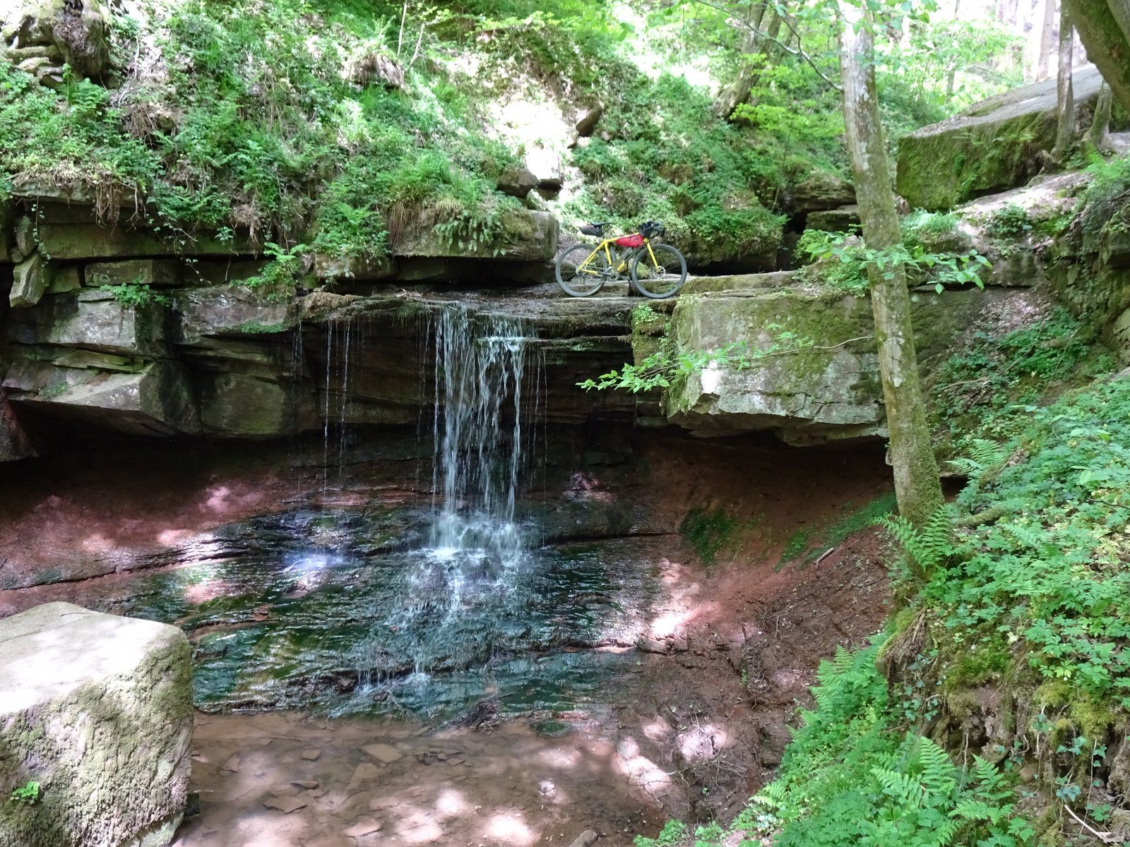 DSC00678[1].JPG