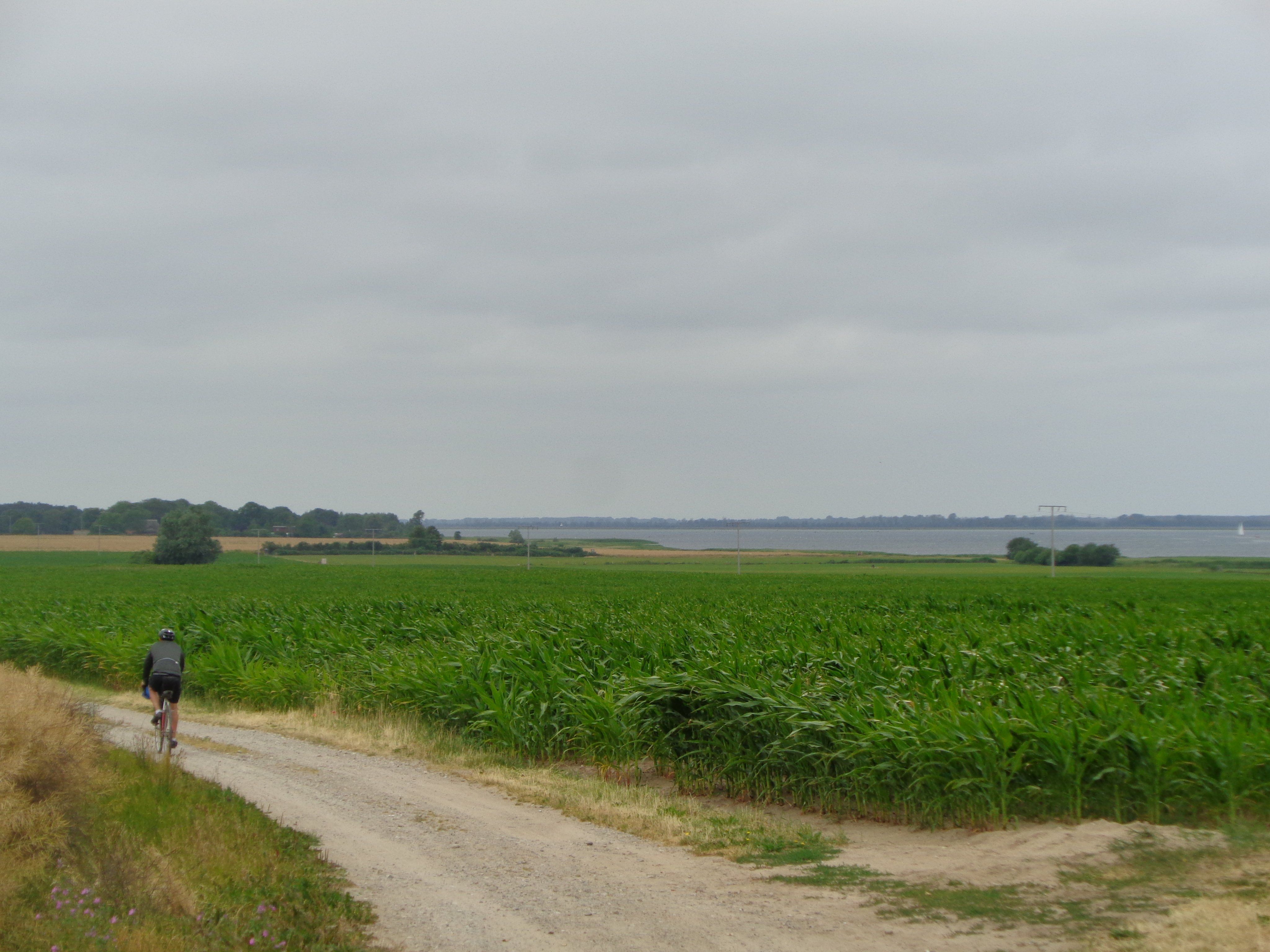 DSC00808.JPG