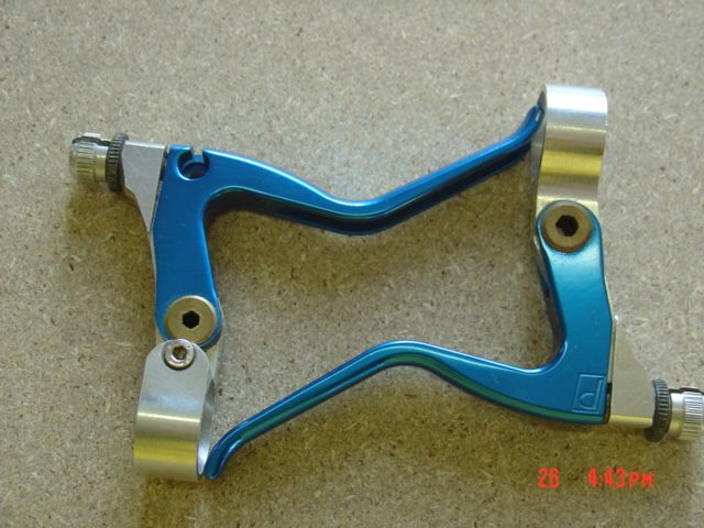 DSC01011.JPG