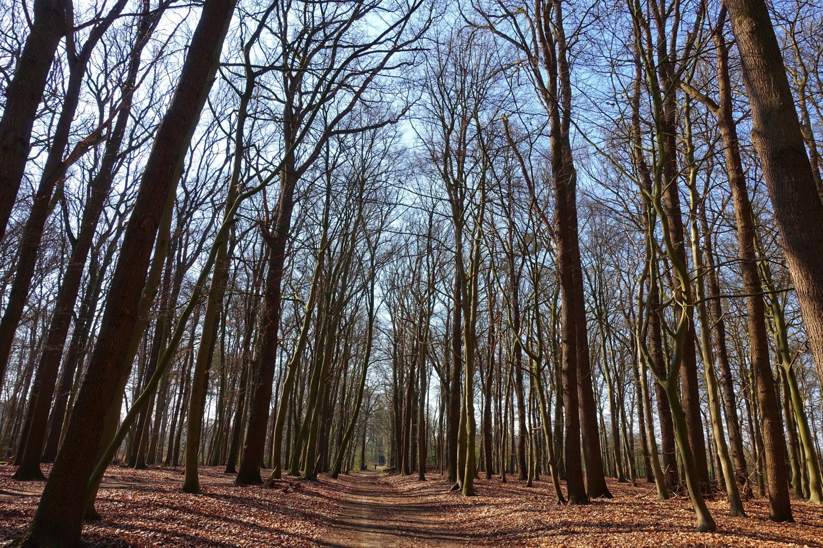DSC01279-01.jpeg