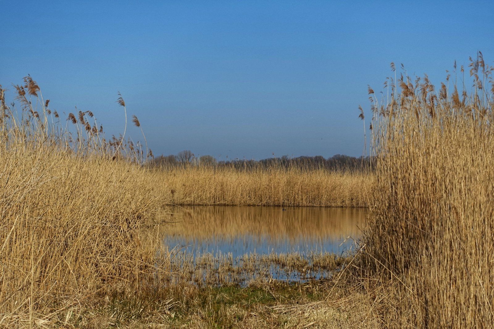 DSC01281-01.jpeg