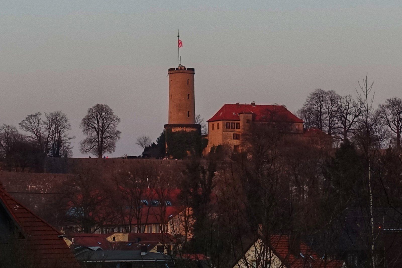 DSC01315-01.jpeg