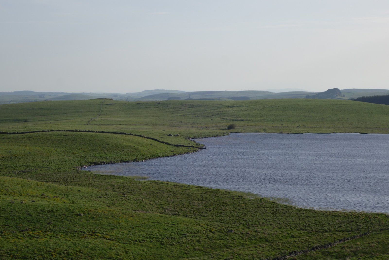 DSC01337.JPG