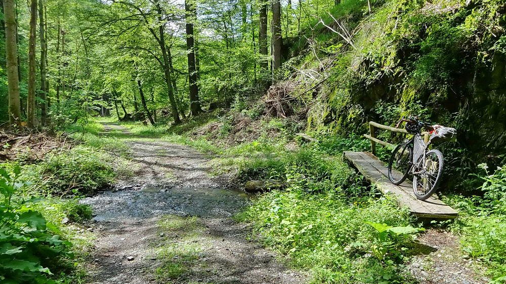 DSC01449_Tiefenbachtal.jpg