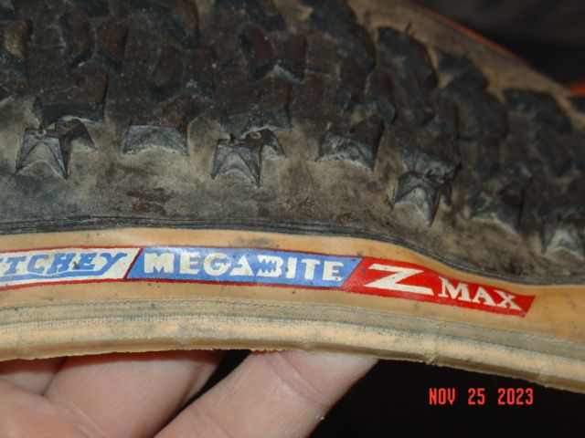 DSC01499.JPG