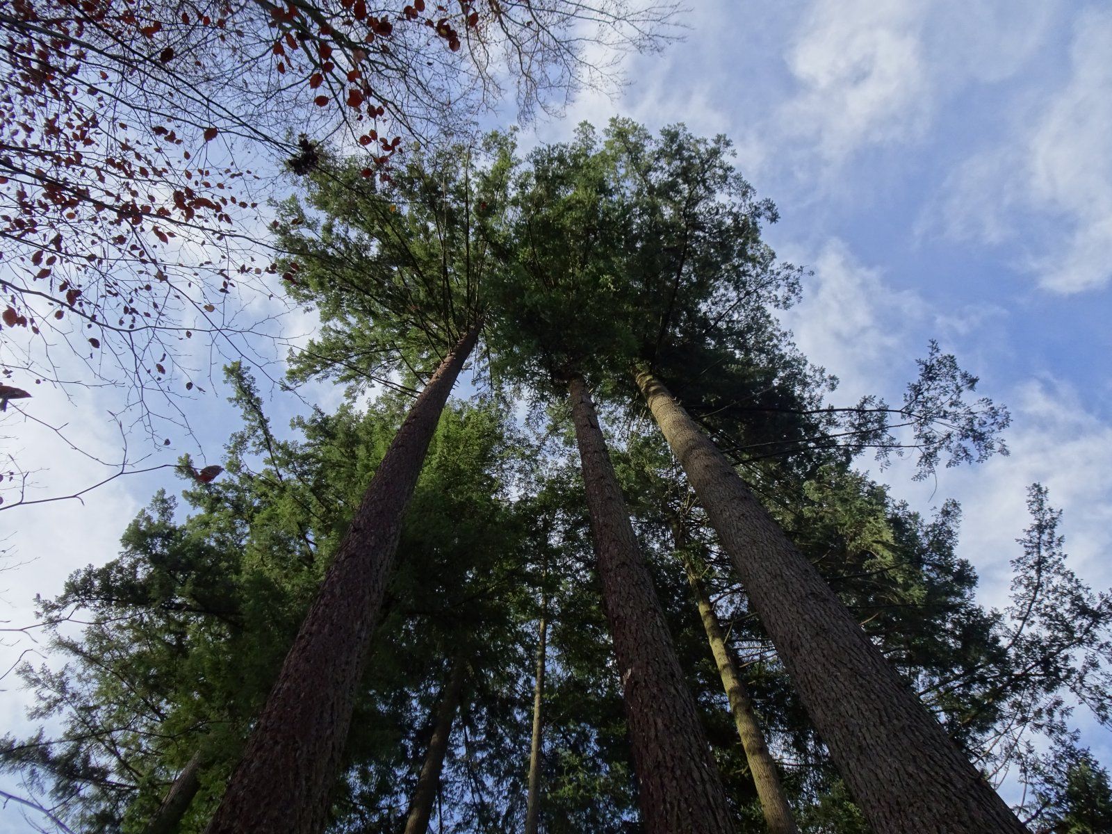 DSC01650[1].JPG