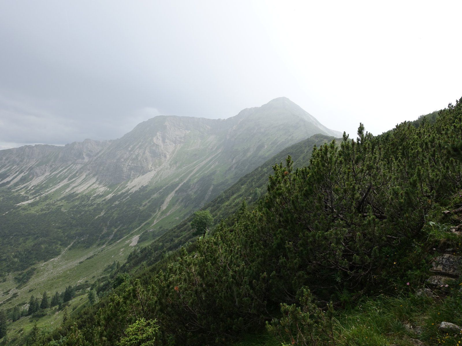 DSC02064.JPG