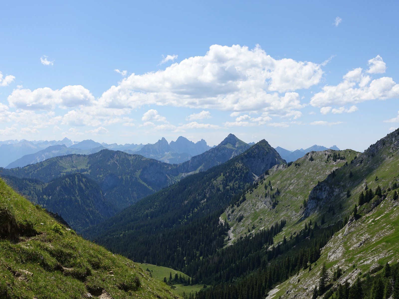 DSC02181.JPG