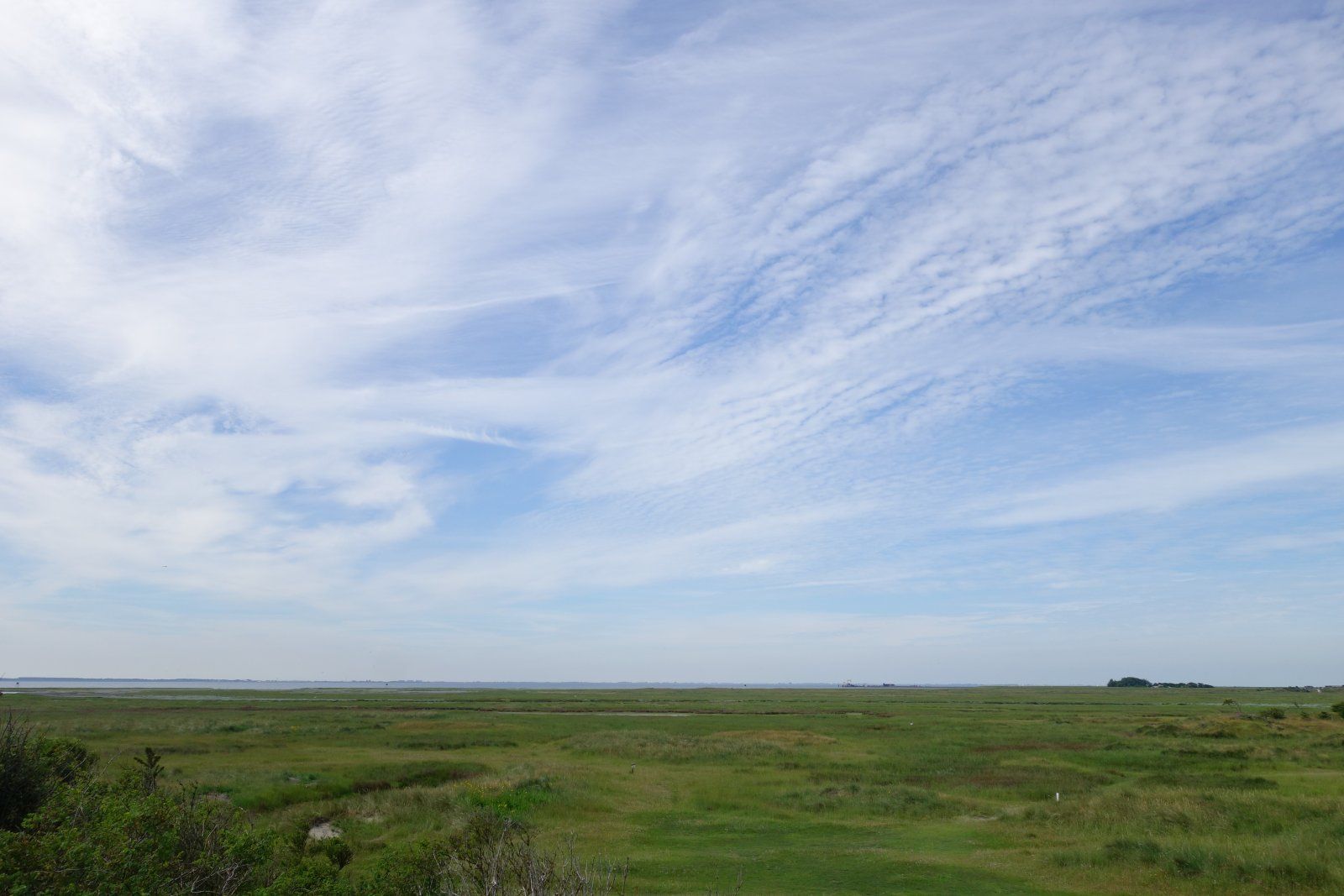 DSC02442.JPG