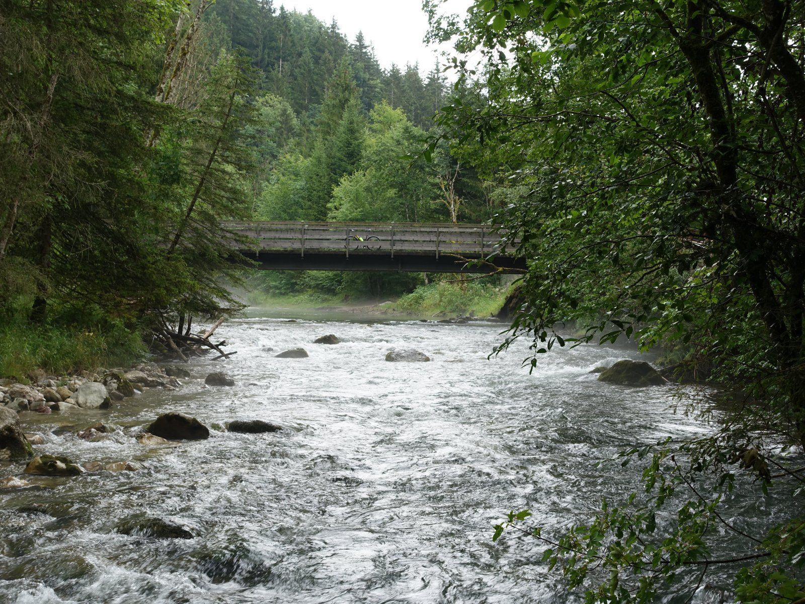 DSC02455.JPG