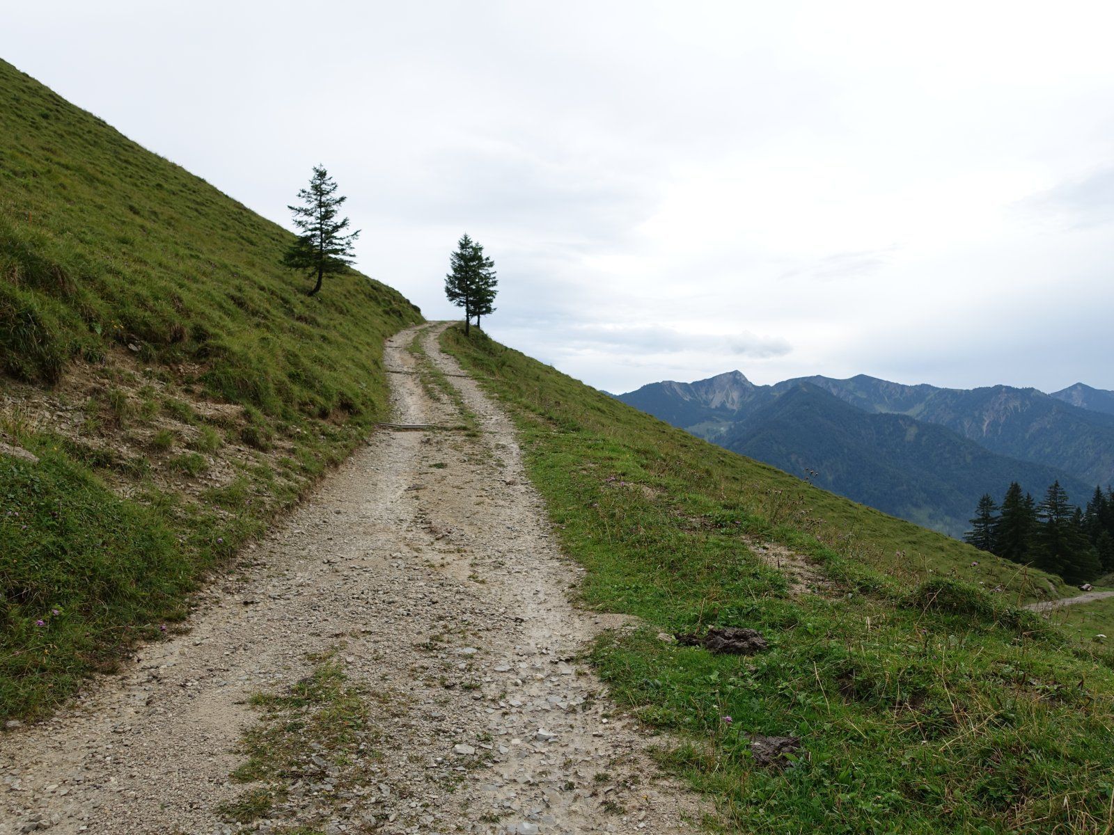 DSC02504.JPG