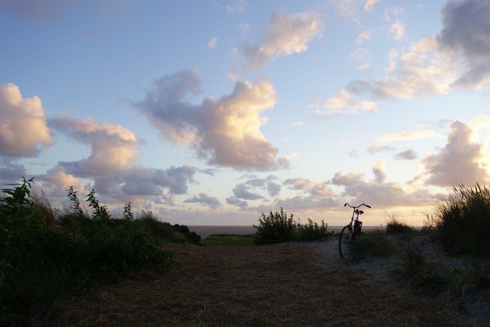 DSC02628.JPG