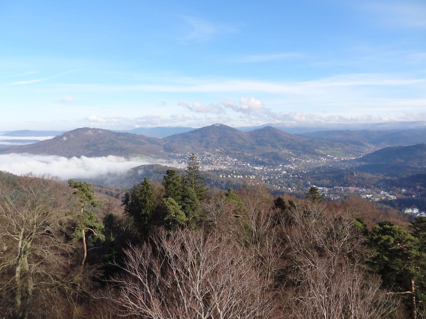 DSC04316_kl.JPG