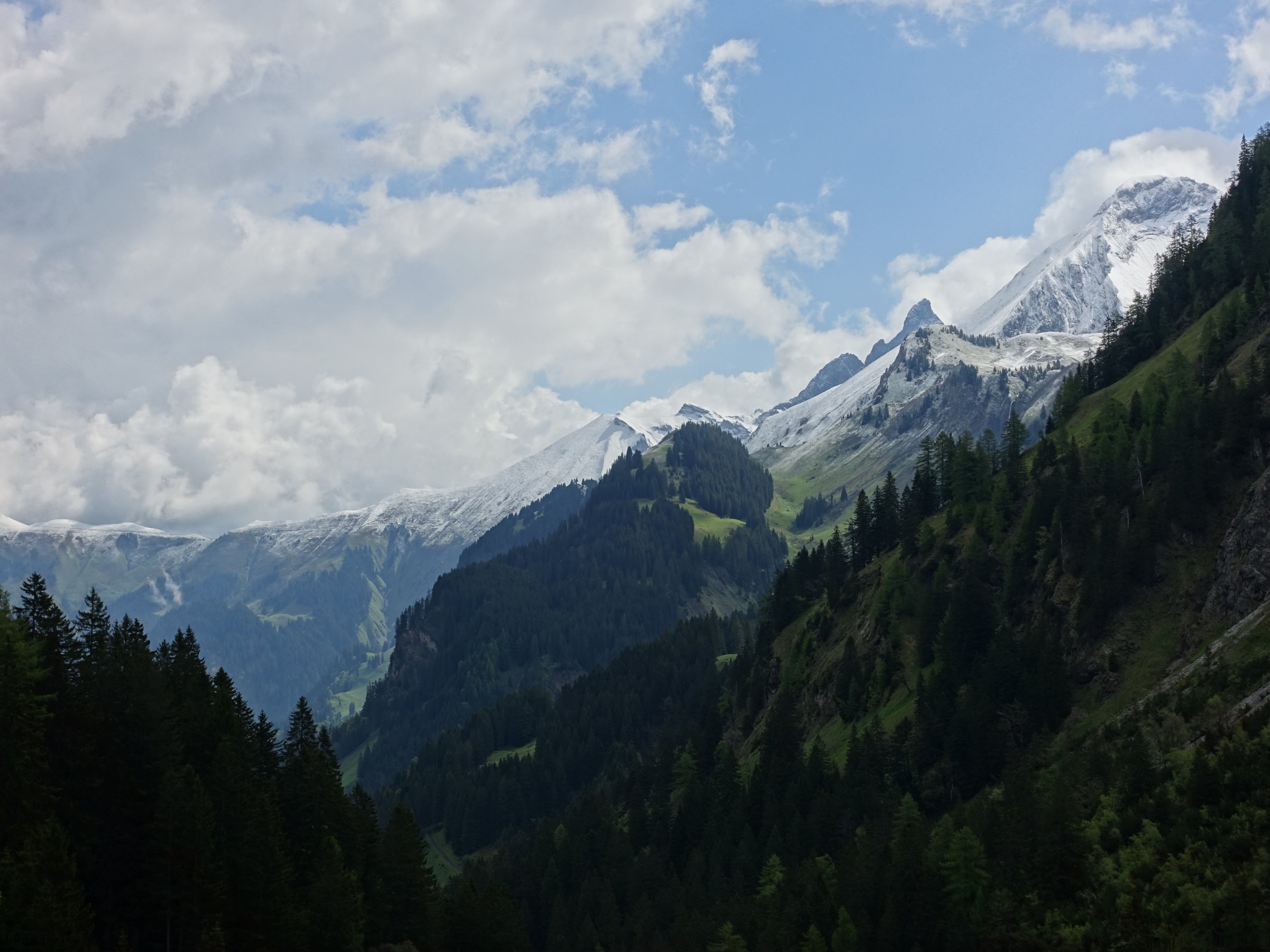 DSC04962.JPG