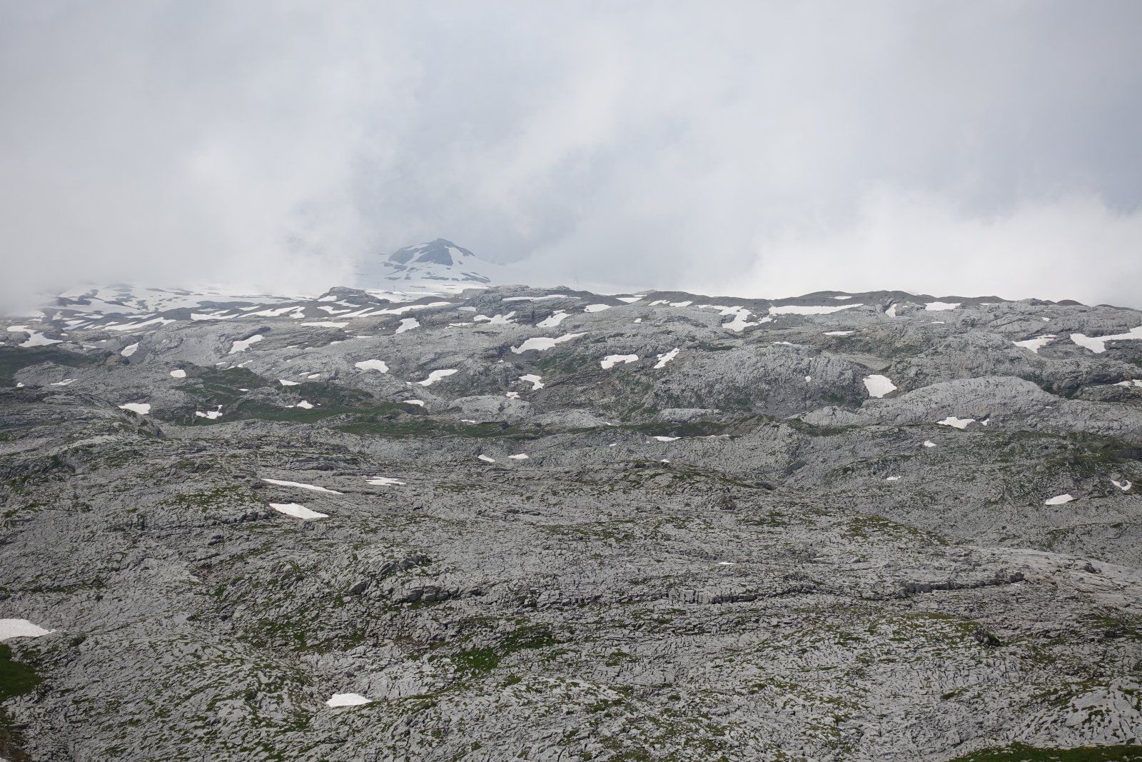 DSC05459.JPG