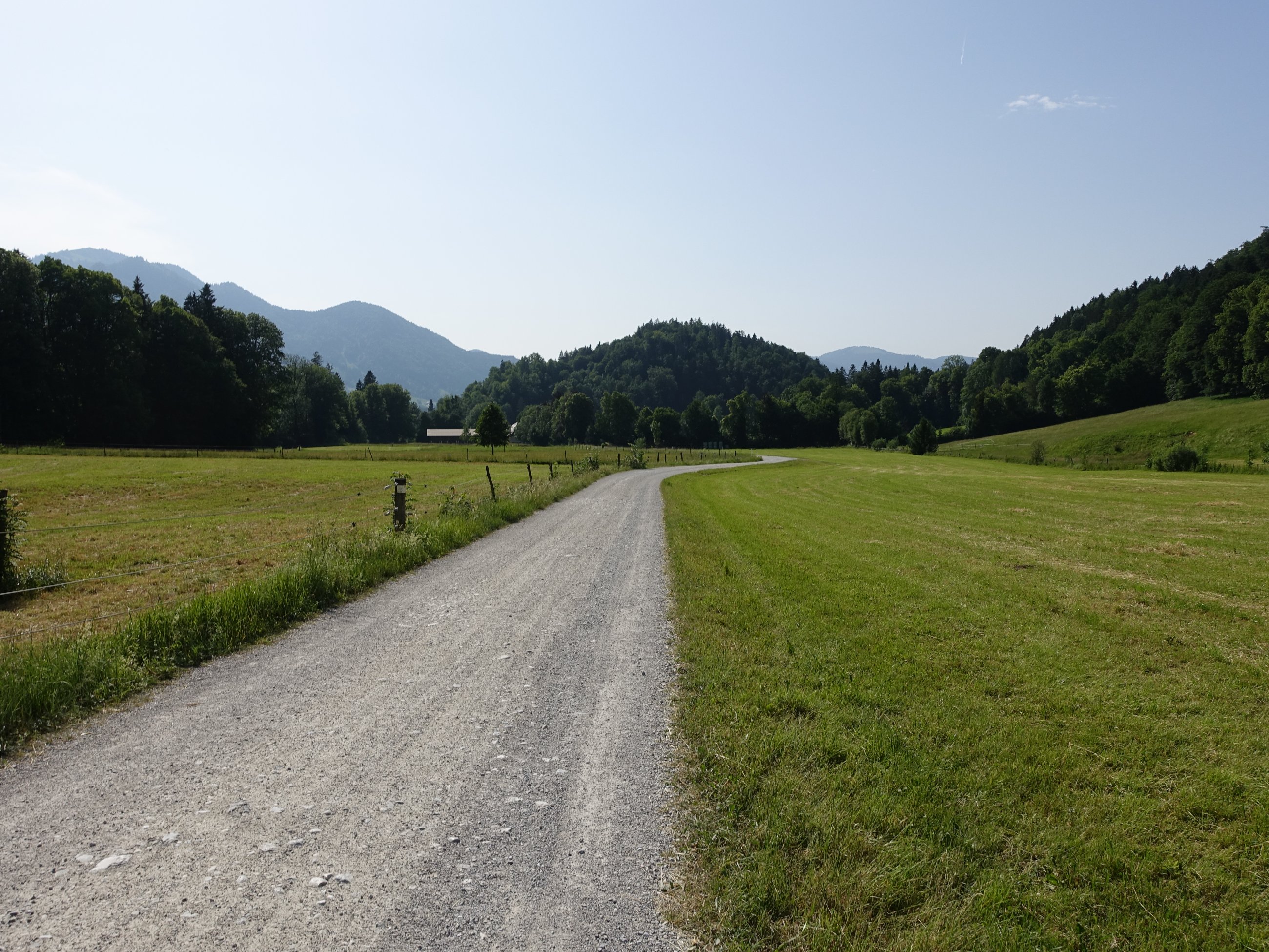 DSC05594.JPG