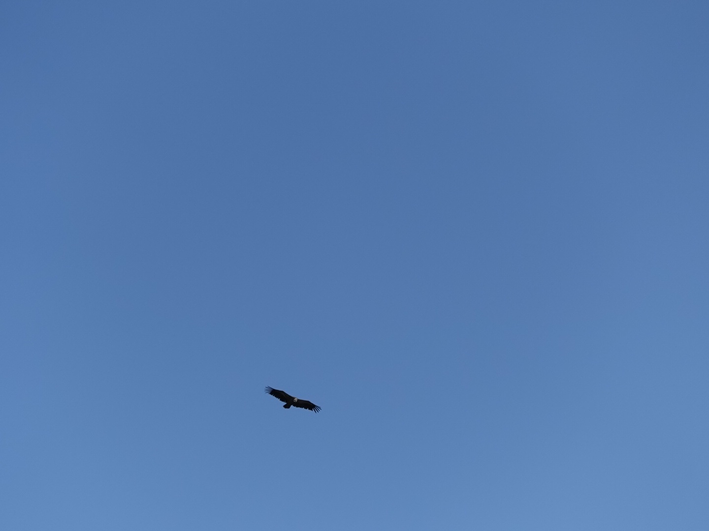 DSC06102.jpeg