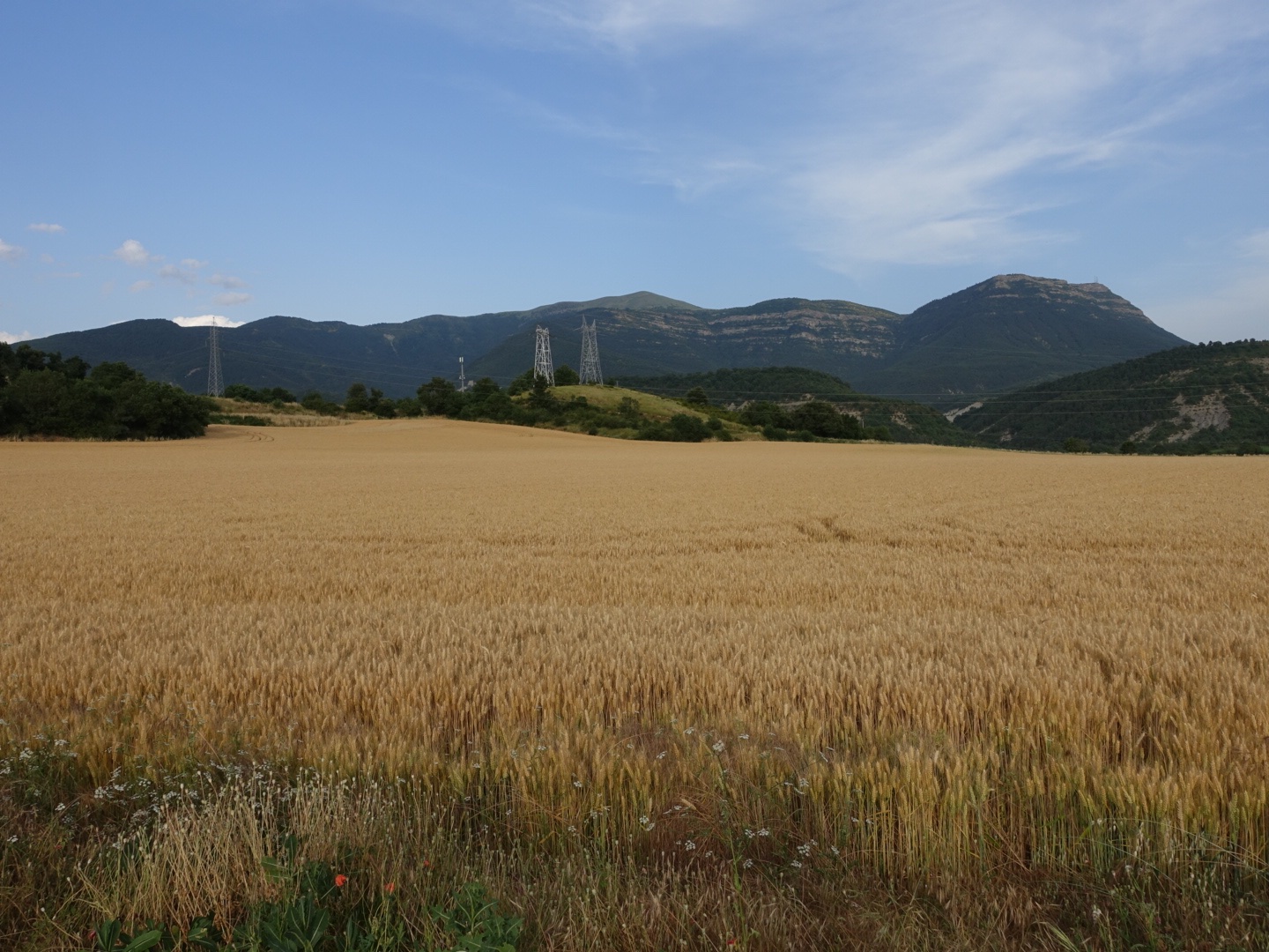 DSC06233.jpeg