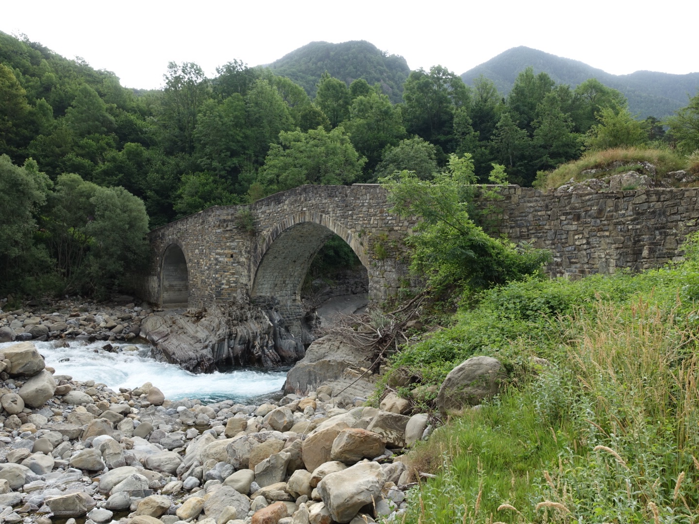 DSC06276.jpeg