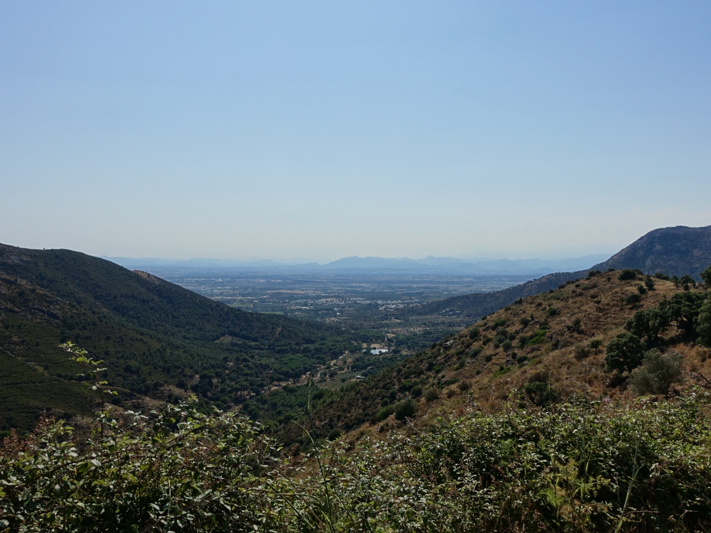 DSC07109.jpeg