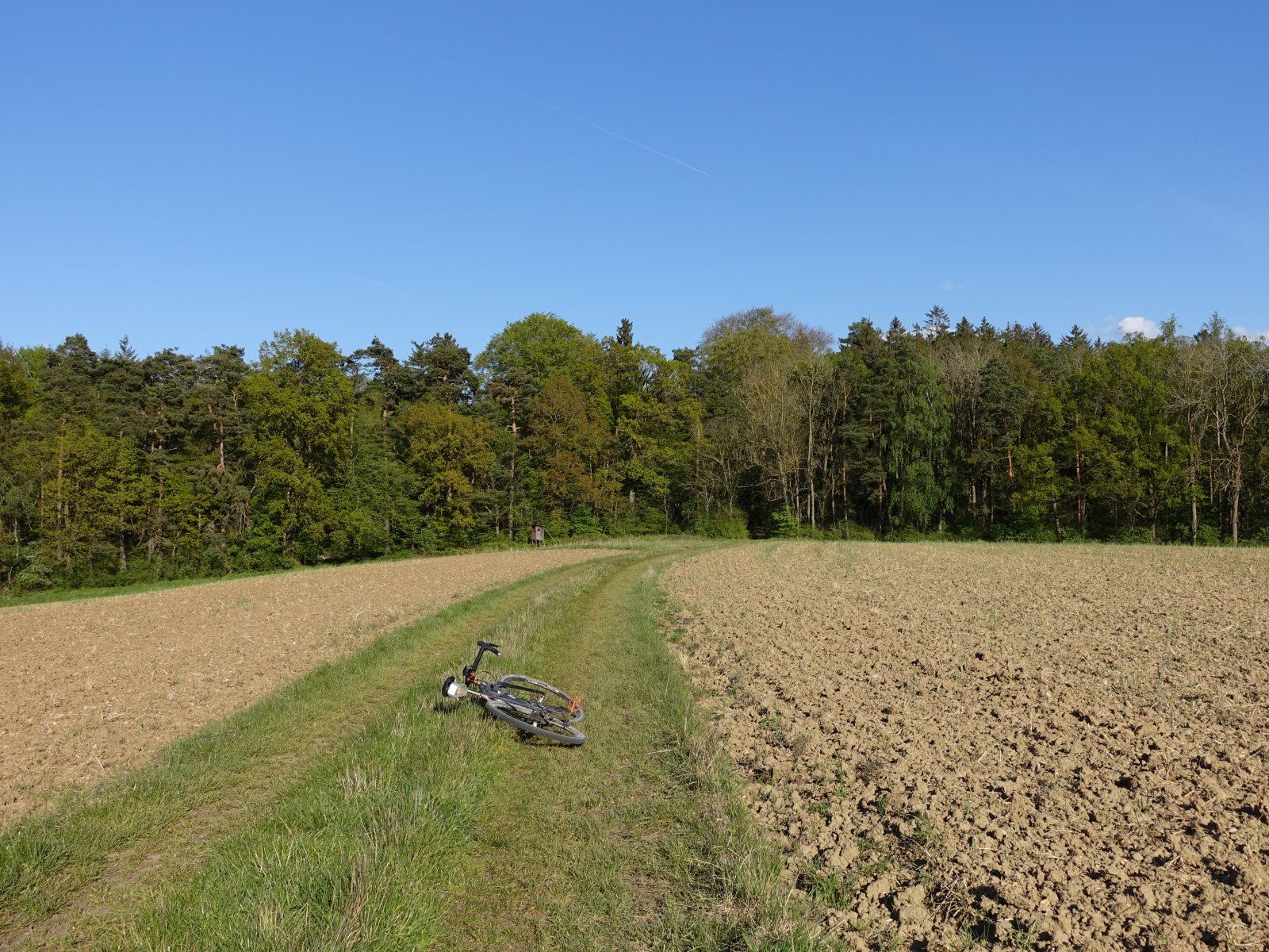 DSC07744.JPG