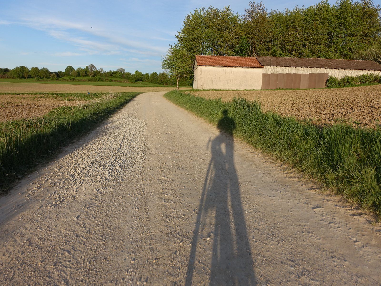 DSC07802.JPG
