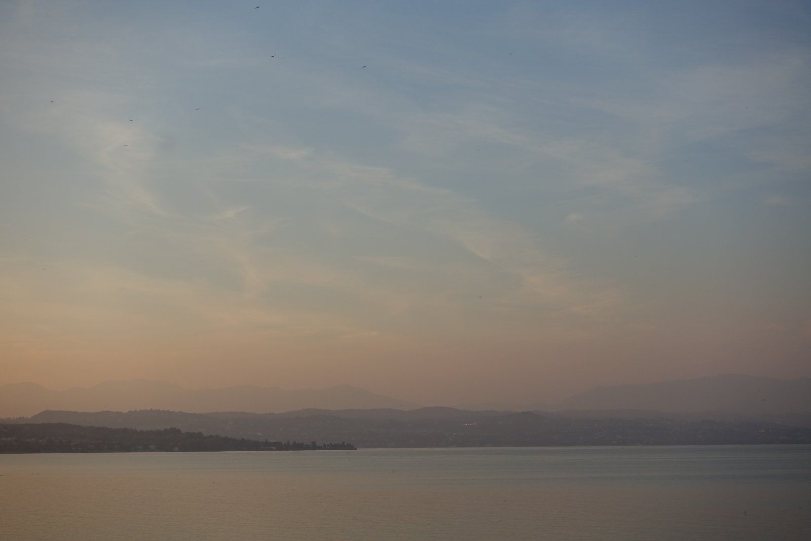 DSC07804.JPG