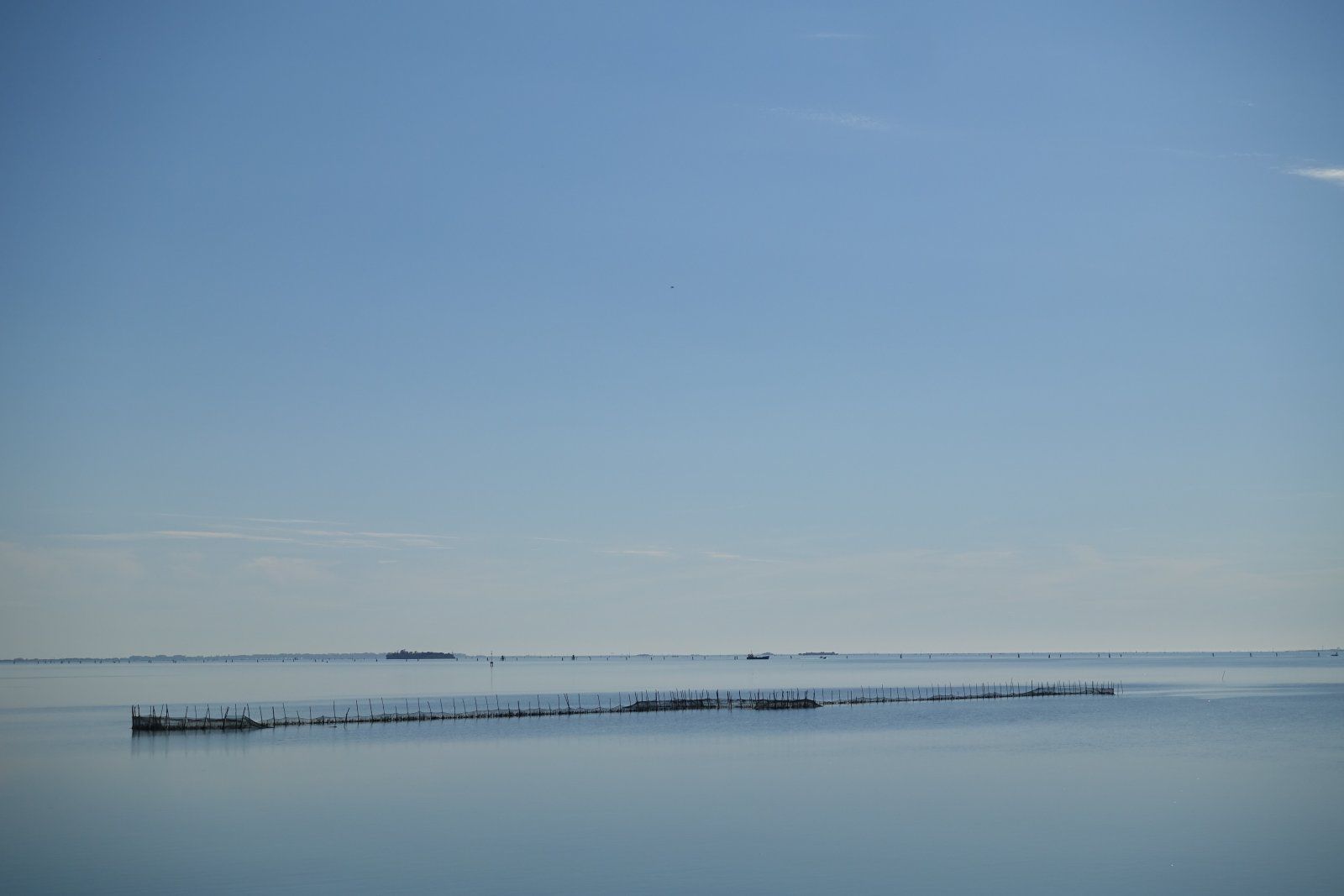 DSC07869.JPG