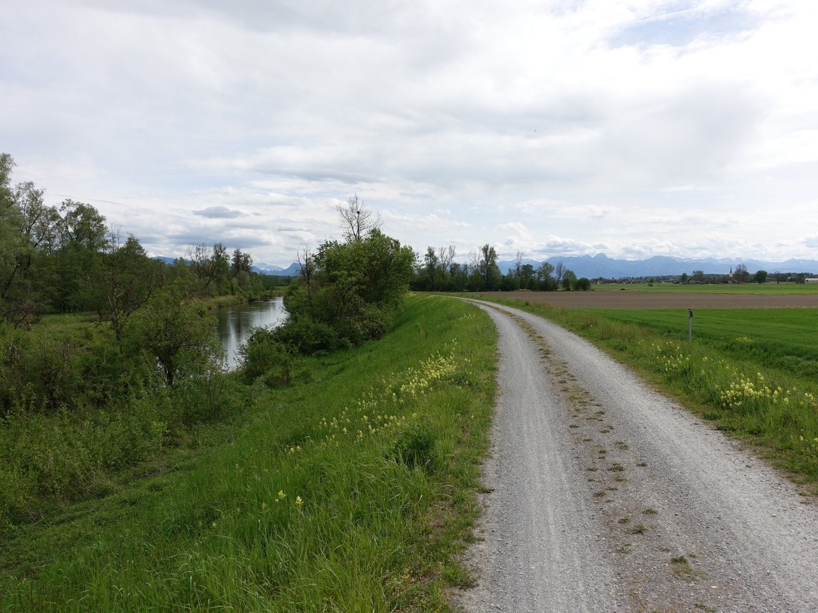 DSC07969.JPG